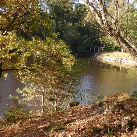 Familial Avec Cascade, Peche, Activites Et Proximite De Vichy - Fr-1-489-21 Holiday home