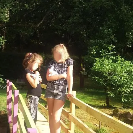 بيت للعطل Grand A Avec Cheminee Et Animaux Acceptes - Fr-1-489-21 *