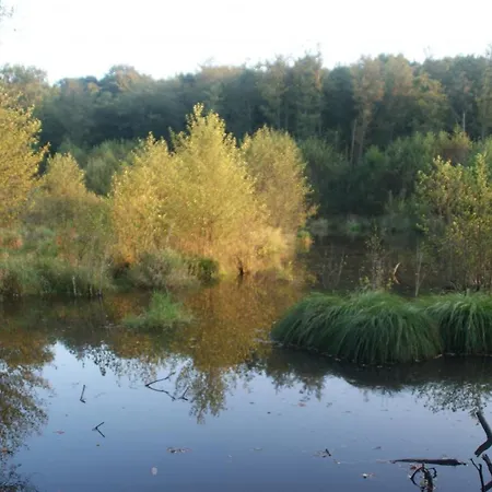 Grand A Avec Cheminee Et Animaux Acceptes - Fr-1-489-21 Vakantiehuis Barrais-Bussolles