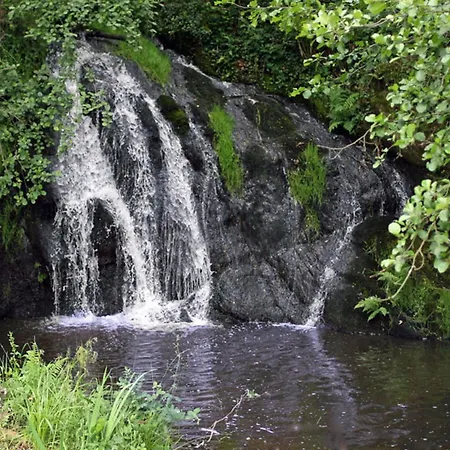 Grand A Avec Cheminee Et Animaux Acceptes - Fr-1-489-21 * Barrais-Bussolles