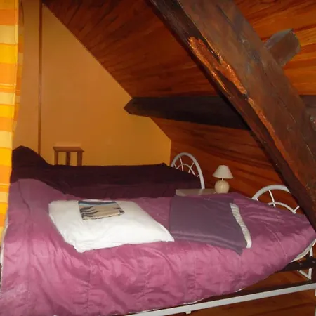 Grand A Avec Cheminee Et Animaux Acceptes - Fr-1-489-21 Vakantiehuis