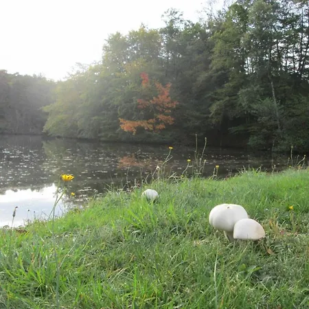 Vakantiehuis Grand A Avec Cheminee Et Animaux Acceptes - Fr-1-489-21