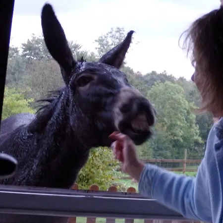 Grand A Avec Cheminee Et Animaux Acceptes - Fr-1-489-21 Vakantiehuis *