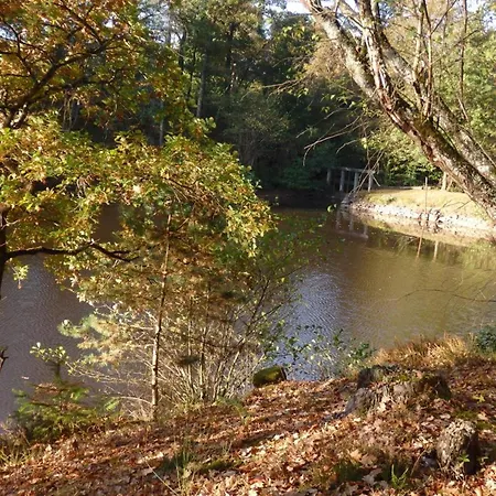 Grand A Avec Cheminee Et Animaux Acceptes - Fr-1-489-21 Vakantiehuis