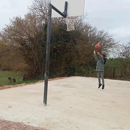 Grand A Avec Cheminee Et Animaux Acceptes - Fr-1-489-21