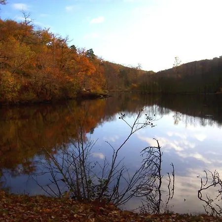 Grand A Avec Cheminee Et Animaux Acceptes - Fr-1-489-21 *