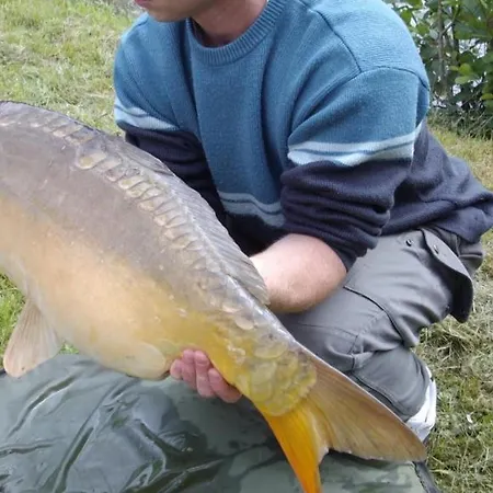 Grand A Avec Cheminee Et Animaux Acceptes - Fr-1-489-21 * Barrais-Bussolles