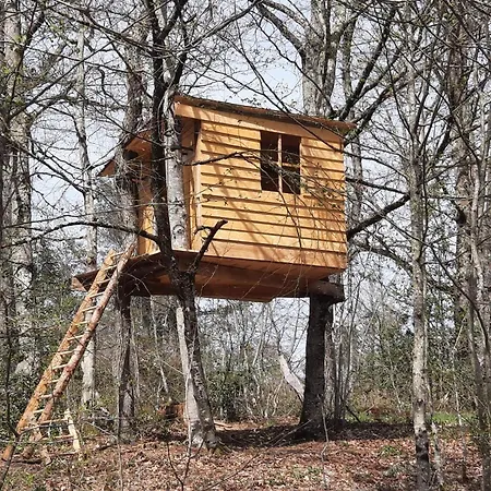 Grand A Avec Cheminee Et Animaux Acceptes - Fr-1-489-21 Vakantiehuis