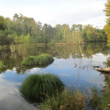 Grand A Avec Cheminee Et Animaux Acceptes - Fr-1-489-21 Vakantiehuis