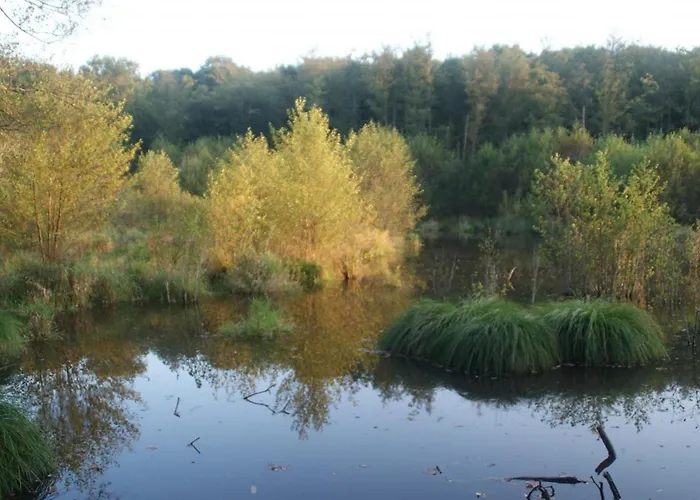 Grand A Avec Cheminee Et Animaux Acceptes - Fr-1-489-21 Дом отдыха Barrais-Bussolles