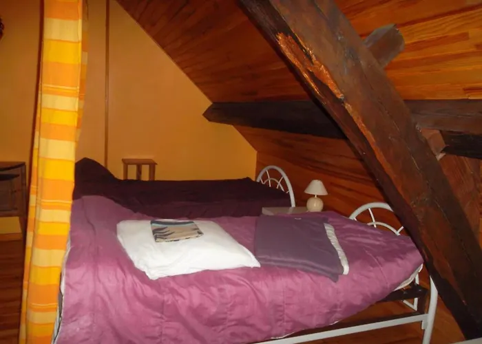 Grand A Avec Cheminee Et Animaux Acceptes - Fr-1-489-21 Дом отдыха