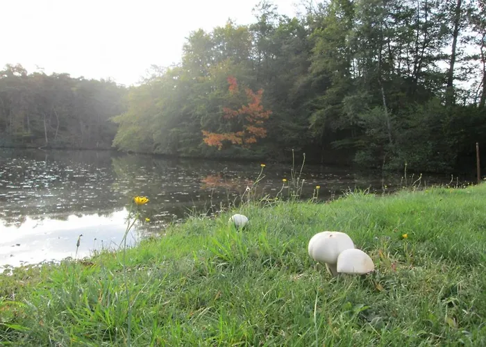 Дом отдыха Grand A Avec Cheminee Et Animaux Acceptes - Fr-1-489-21