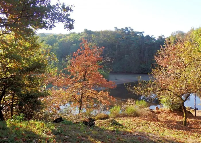 Grand A Avec Cheminee Et Animaux Acceptes - Fr-1-489-21 Дом отдыха Barrais-Bussolles