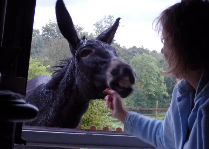 Grand A Avec Cheminee Et Animaux Acceptes - Fr-1-489-21 Дом отдыха *