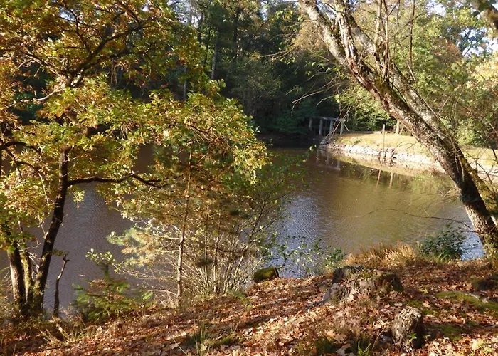 Grand A Avec Cheminee Et Animaux Acceptes - Fr-1-489-21 Дом отдыха