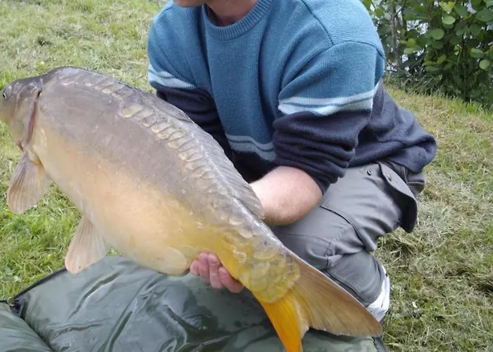 Grand A Avec Cheminee Et Animaux Acceptes - Fr-1-489-21 * Barrais-Bussolles