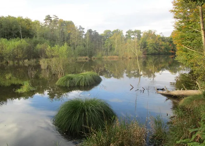 Grand A Avec Cheminee Et Animaux Acceptes - Fr-1-489-21 Дом отдыха